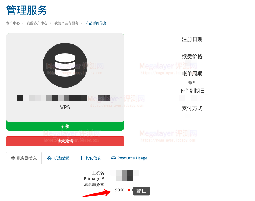 Megalayer VPS远程端口