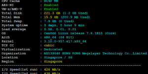 Megalayer新加坡服务器评测