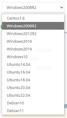 美国Windows VPS
