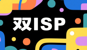 什么是双ISP